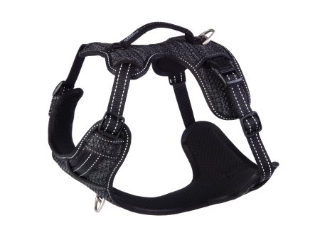 Rogz Utility-Explore Harness Reflective Online Sale