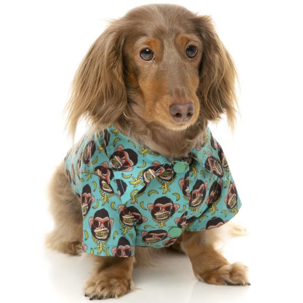 10% OFF: FuzzYard Button Up Shirt For Dogs (Gor-illz) For Discount