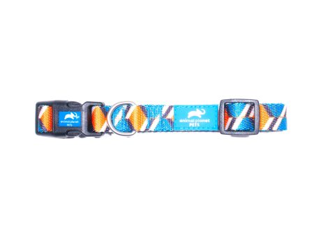 Animal Planet Pattern Collar Orange For Sale