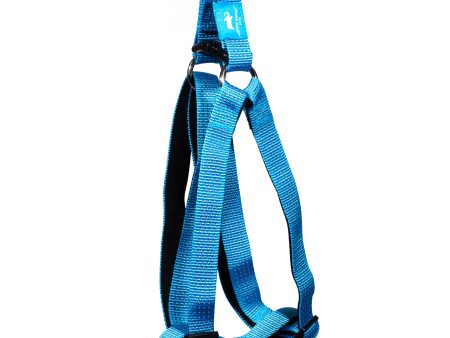 Animal Planet Premium Step-In harness Fashion