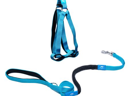 Animal Planet Step-In & Anti-Shock Lead Bundle Online Hot Sale