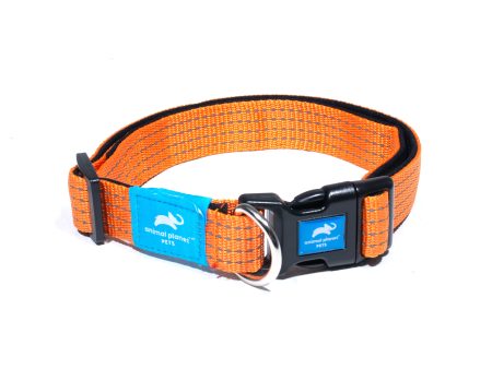 Animal Planet Premium Padded Collar Supply