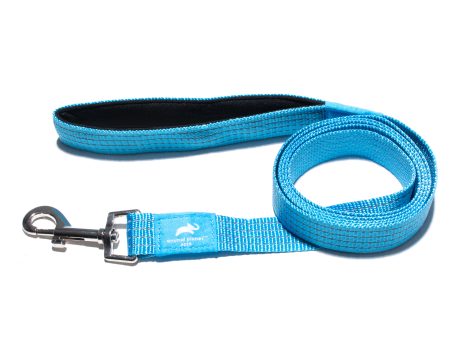 Animal Planet Premium Padded Lead For Cheap