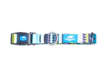 Animal Planet Pattern Collar Turquoise Online now