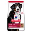 Hill s Science Plan Adult Large Breed Dry Dog Food Lamb and Rice Flavour - 12Kg Online Sale