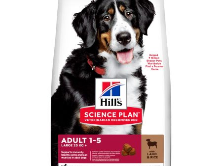 Hill s Science Plan Adult Large Breed Dry Dog Food Lamb and Rice Flavour - 12Kg Online Sale