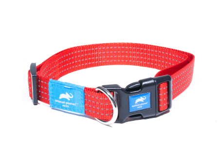 Animal Planet Classic Collar Online Hot Sale