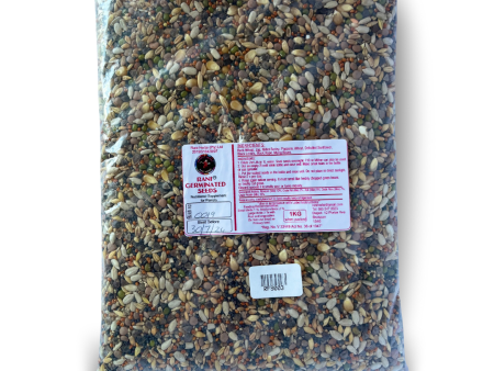 Rani Germinated Seeds (Sprouting) 1Kg Supply