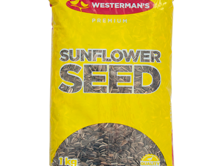 Westerman s Striped Sunflower For Discount