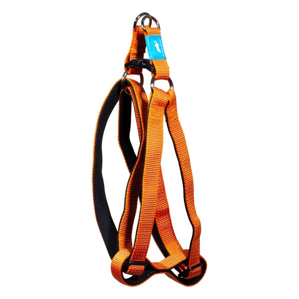 Animal Planet Premium Step-In harness Fashion